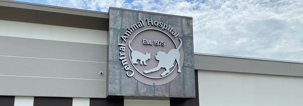 Central Animal Hospital